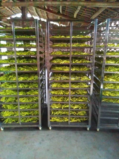 黃花菜烘干機(jī)、黃花菜烘干設(shè)備、黃花菜干燥機(jī)、黃花菜干燥設(shè)備、